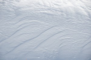 DSC_0841