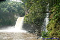 Chute