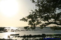 Plage Trou aux biches