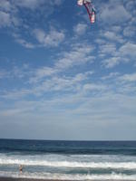 Kite