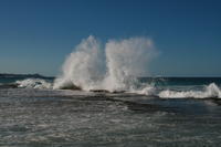 Punta