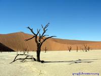 Deadvlei