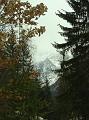 dsc00491
