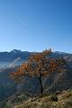 img_7741