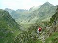 Gedre12107