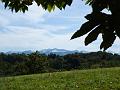 20081005_124129