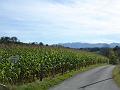 20081005_144958
