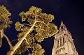 img_5594-1