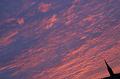 20081004_194324