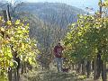 Lacommande_2008_oct25_016