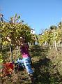 Lacommande_2008_oct25_022
