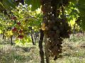 Lacommande_2008_oct25_028