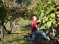 Lacommande_2008_oct25_030
