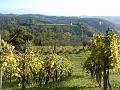 Lacommande_2008_oct25_036