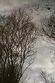 photo-20071231171334