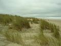 Royan12919