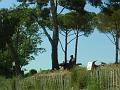 DamHyeres11631