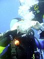 pic0063