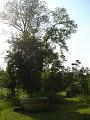 photo09815