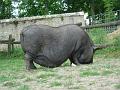 photo09865