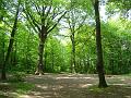 photo09876