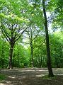 photo09877