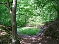 photo09887