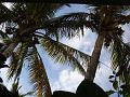 20071025062528