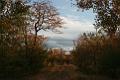 Limpopo