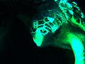 dsc05953