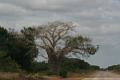 De Vilankulo à inhambane