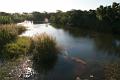 De Punta do Ouro au Swaziland