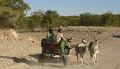 Sur les routes du Damaraland