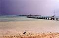 moorea