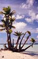 plage07
