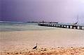 Moorea