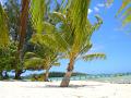 Moorea