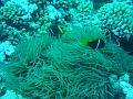 fakarava15019