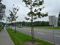 photo4755