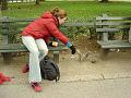 photo7177