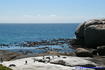 [iero] Manchots du Cap à Boulders