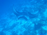 iero fakarava15004