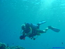 iero manihi14808