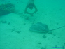 iero moorea13440