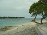 iero rangiroa14018
