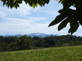 Coteaux Jurancon