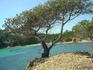 iero DamHyeres11613