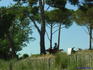 iero DamHyeres11631