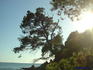 iero DamHyeres11665
