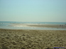 iero Landes12472